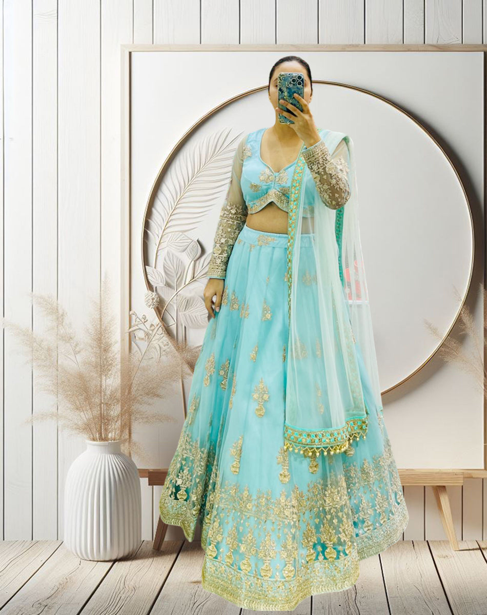 Beautiful Lehenag Choli Light Sky